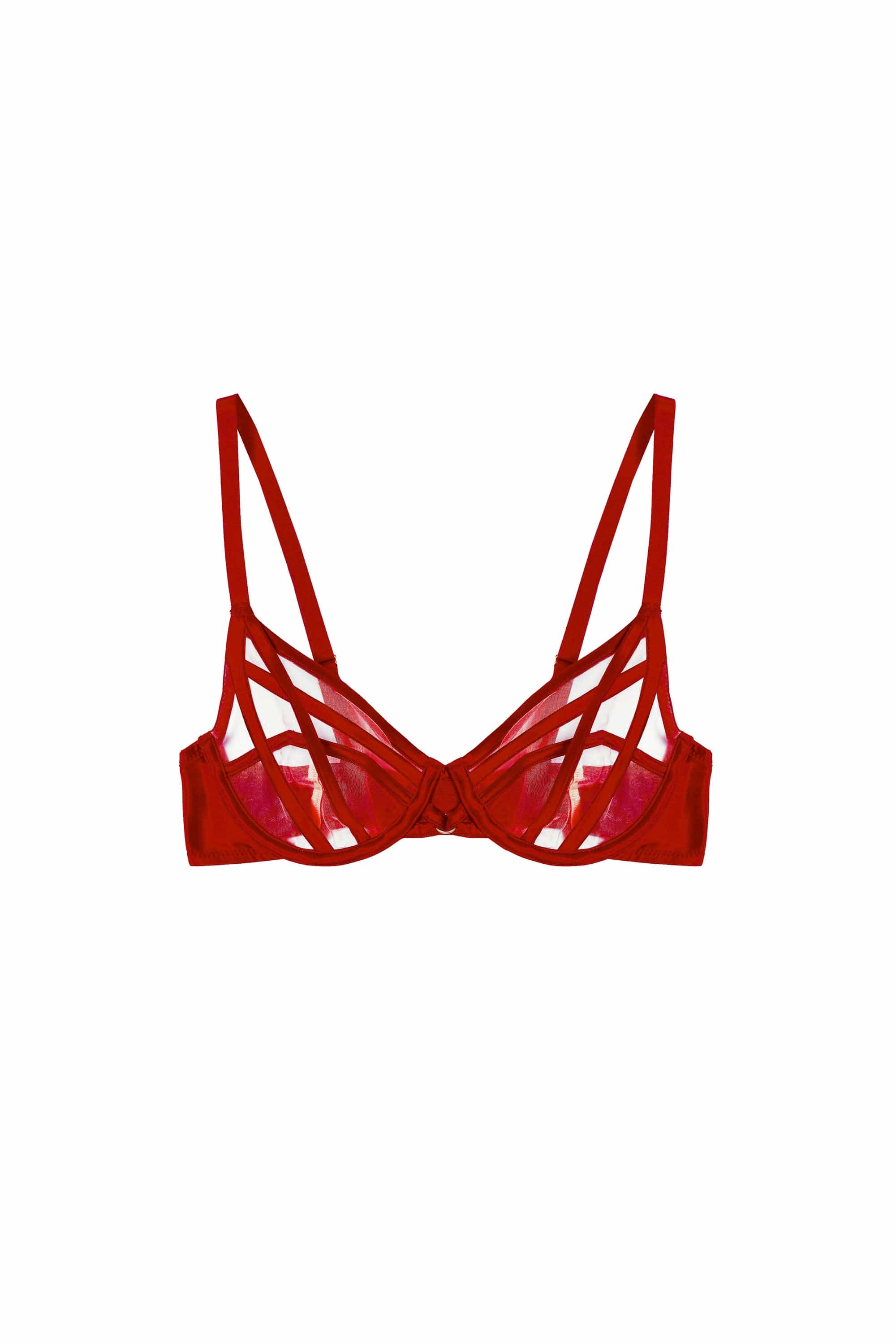 Ramona Ruby Red Strap Detail Illusion Sheer Plunge Bra