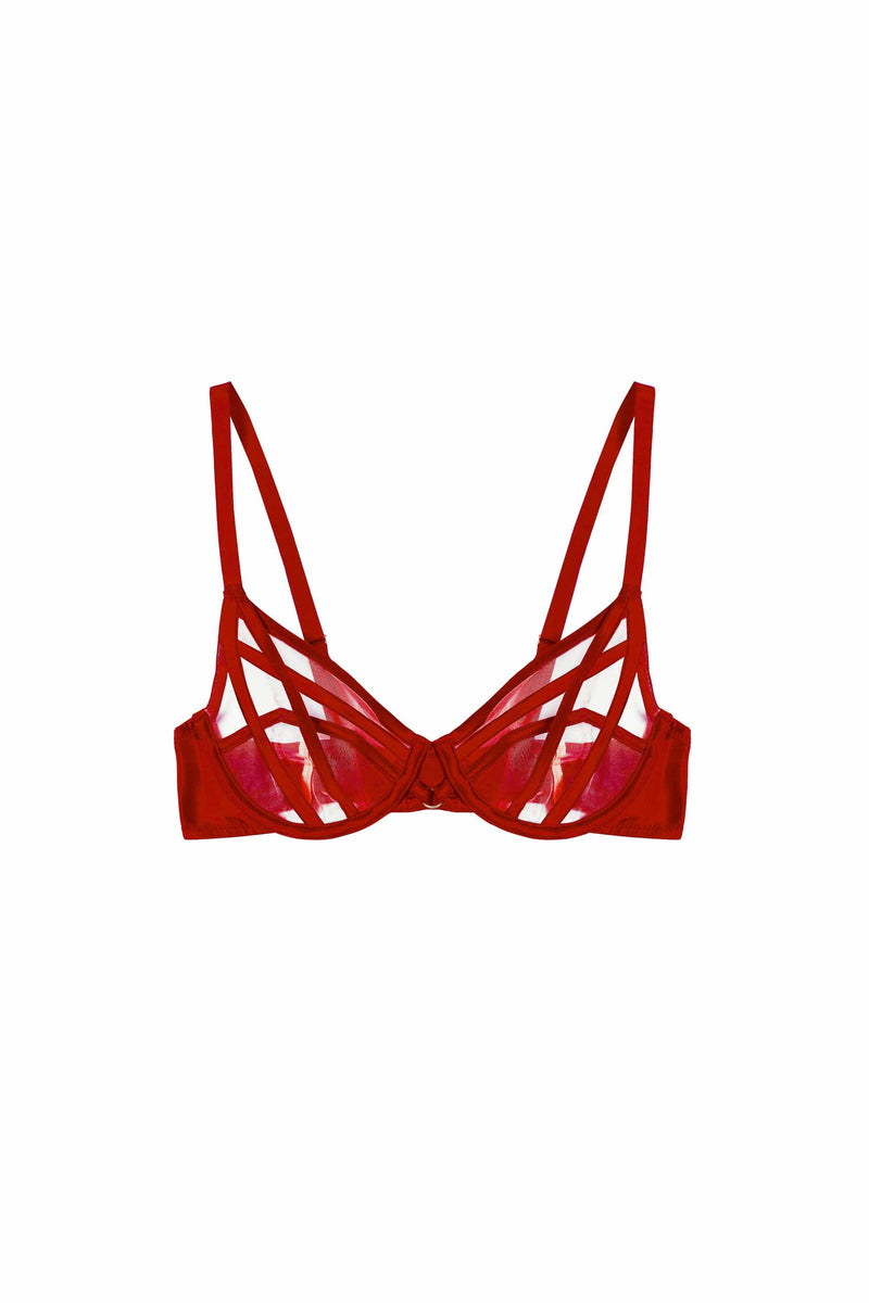 Ramona Ruby Red Strap Detail Illusion Sheer Plunge Bra