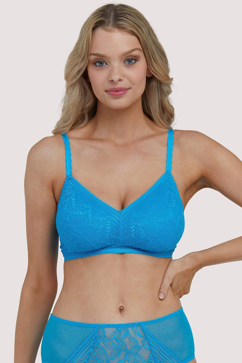 Buy Simply Be Blue Ella Lace Padded Plunge Wired Bras 2 Pack from Next  Luxembourg