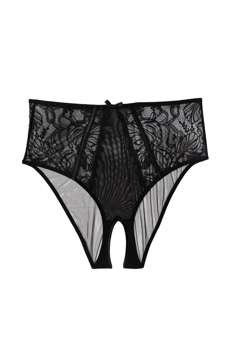 Fallon Black Lace and Mesh High Waisted Crotchless Brief – Playful Promises