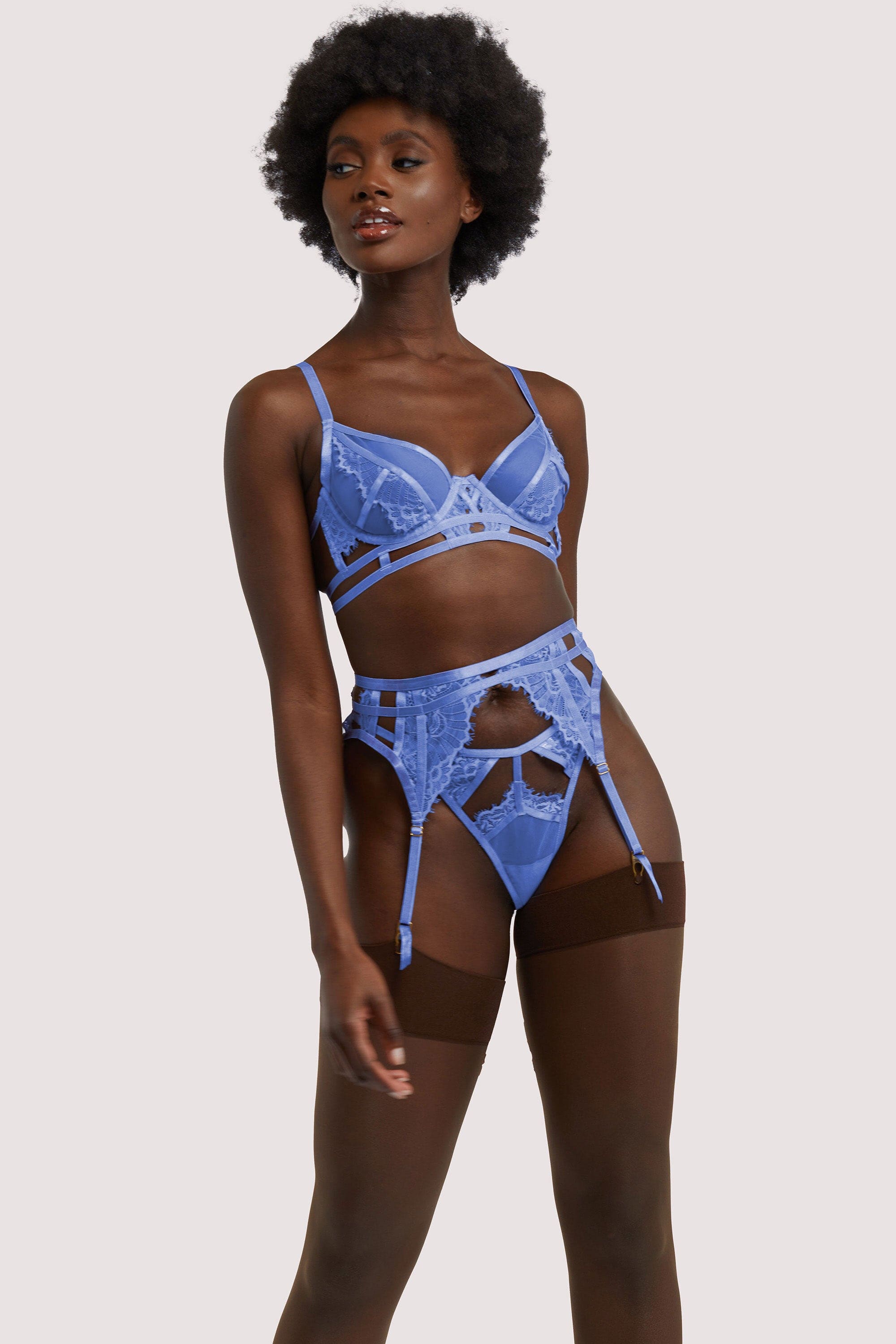 https://www.playfulpromises.com/cdn/shop/products/wolf-whistle-suspender-claire-blue-caged-lace-suspender-30118640779312_2000x.jpg?v=1657558498